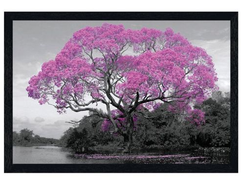 Image of Black Wooden Framed Tree In Bloom Poster