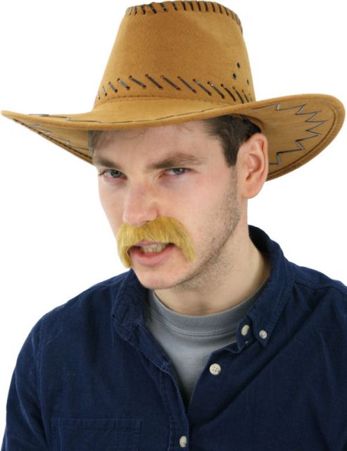 Image of Blonde Western Moustache