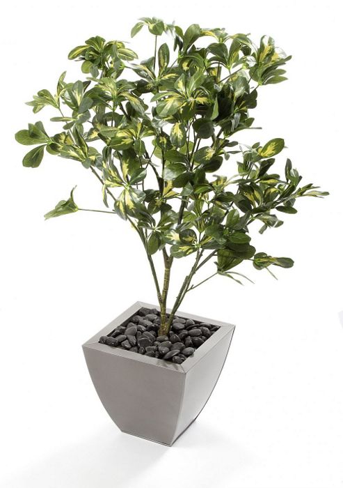 Image of Artificial 3ft 6" Schefflera Plant