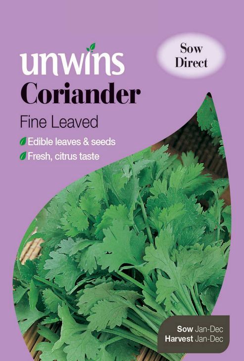 Image of Herb Coriander Fine Leaved