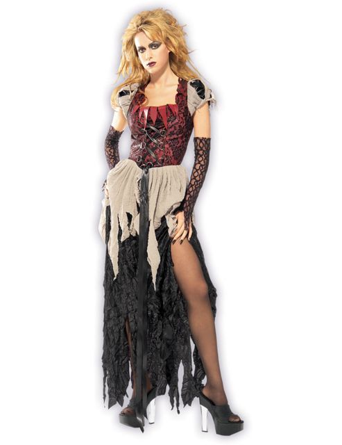 Image of Adult Sinderella Halloween Costume Large