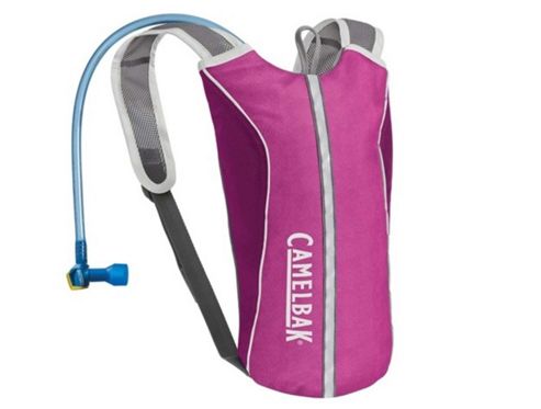 Image of 2014 Camelbak 1.5l Skeeter Hydration Pack Raspberry