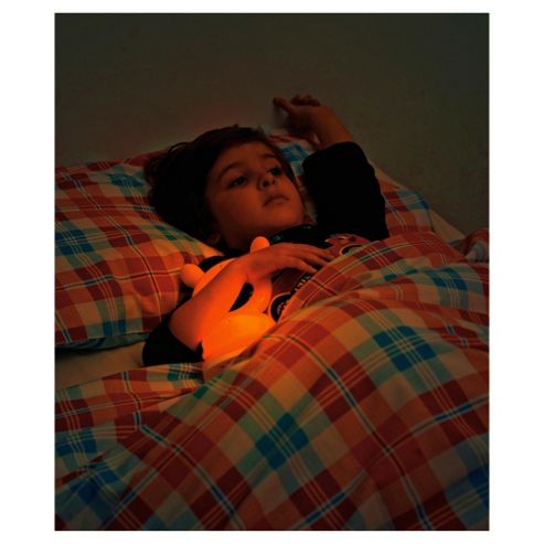 Image of Brother Max Bear Nightlight Carry hang