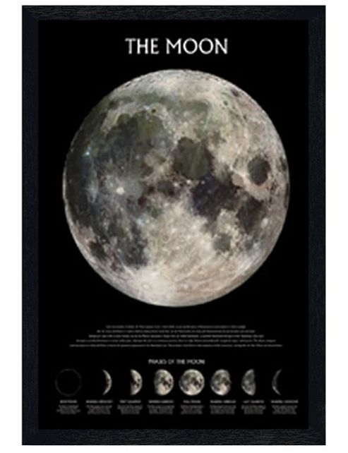 Image of The Moon Black Wooden Framed Phases Of The Moon Poster