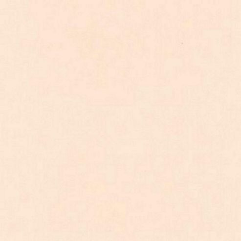 Image of Murano Paper Pale Peach 50x65