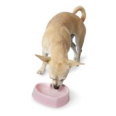 Petmate Melamine Precious Princess Heart Dog Bowl in Pink - Small (15cm (L) x 15cm (W) x 4cm (H))