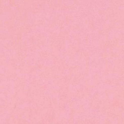 Image of Canford Paper A4 Blush