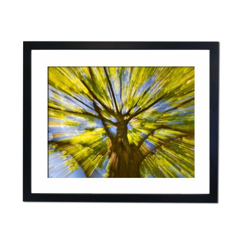 Image of Culture Decor Motion Wall Art