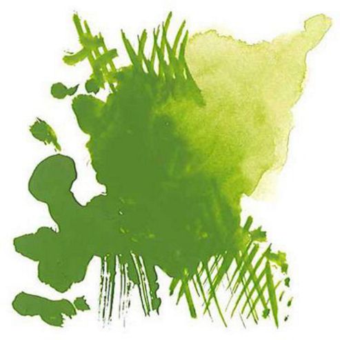 Image of W&n - Des G 14ml Sap Green