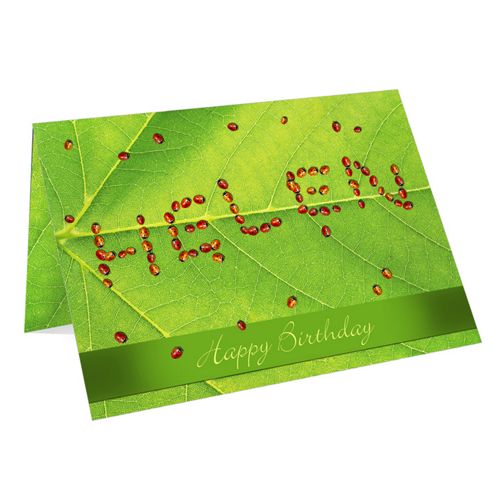 Image of Personalised Ladybird Card