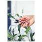 The flower dead header