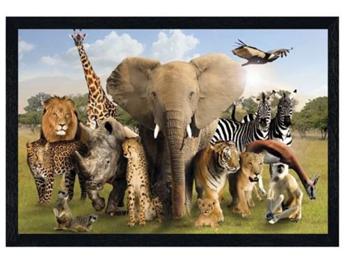 Image of Wild Animals Black Wooden Framed Wildlife Harmony Poster