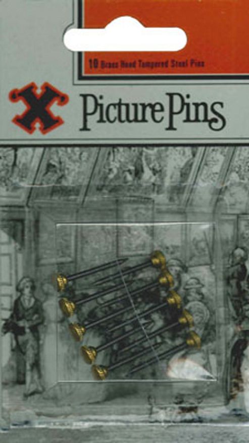 Image of X Brass Head Pins