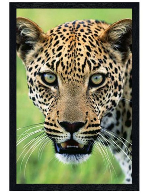 Image of Panthera Onca Black Wooden Framed A Jaguar's Hypnotic Stare Poster