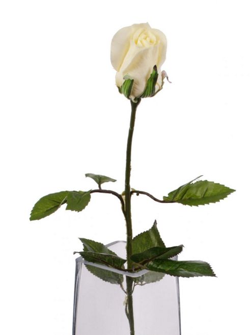 Image of Artificial 60cm Single Stem Closed Bud Cream Rose