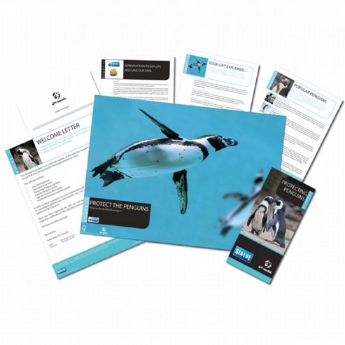 Image of Adopt A Penguin