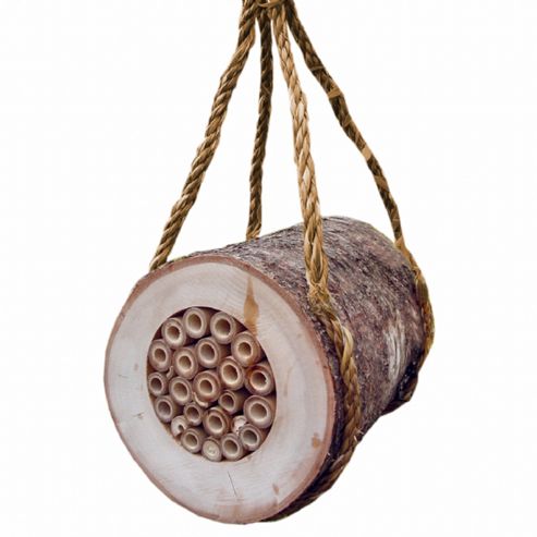 Image of Pollinating Bee Log