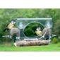 Complete window feeder for birds