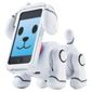 Techpet For iPhone or iPod Touch