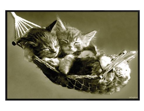Image of Sleeping Kittens Gloss Black Framed Kittens Asleep In A Hammock Poster