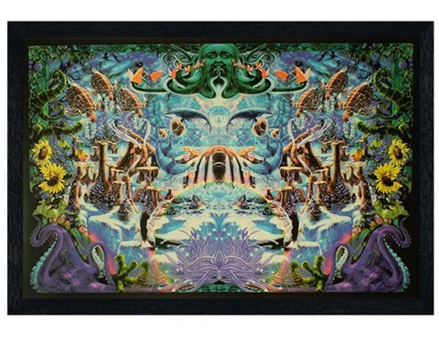 Image of Black Wooden Framed Octopus Garden Poster