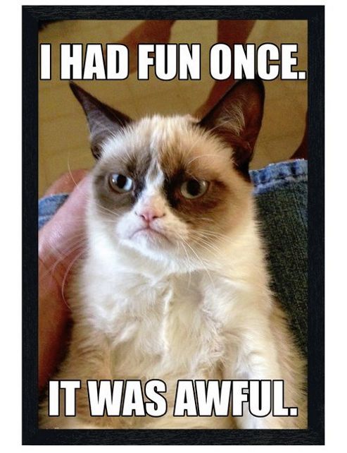 Image of Grumpy Cat Black Wooden Framed I Had Fun Once Poster
