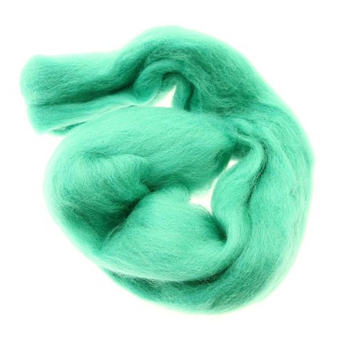 Image of Dhf-r25 Forest 20g Falkland Wool Tops