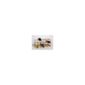 Cranville Wine Racks Classic 15 Bottle Wine Racks - Pine