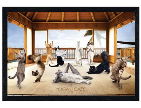 Image of Yoga Cats Black Wooden Framed Feline Enlightenment Poster