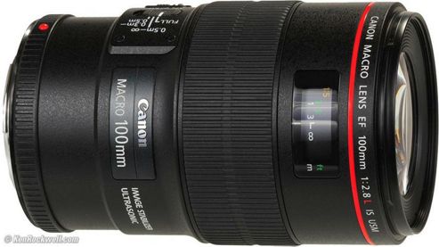 Image of Canon Ef 100mm F2.8l Macro Is Usm Lens