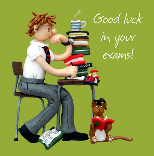 Image of Holy Mackerel Greeting Card - Exam Good Luck Male Greetings Card