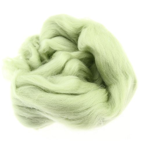 Image of Dhf-r24 Mid Green 20g Falkland Wool Tops
