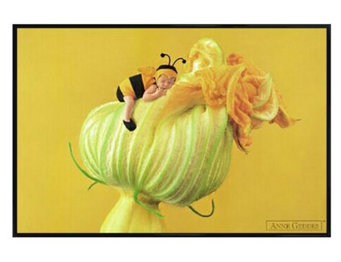 Image of Anne Geddes Gloss Black Framed Baby Bee Poster