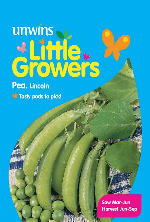 Image of Little Growers Pea Lincoln