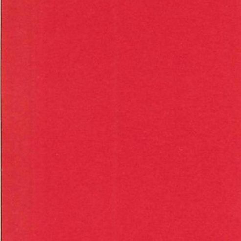 Image of Canford Paper A1 Bright Red