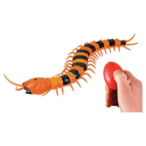 Image of Real Rc Centipede