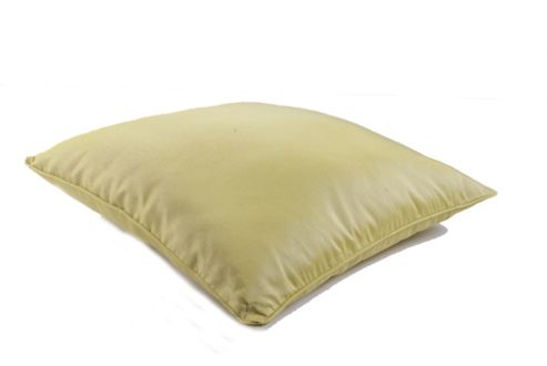 Image of 2lif Passat Cushion - Lime