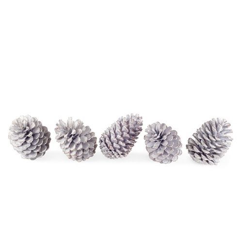 Image of Set Of Five White Pine Cone Accessory Christmas Decorations