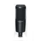 Audio Technica AT2020 Cardioid Condenser Microphone
