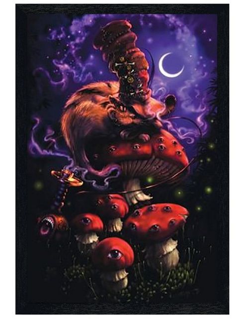 Image of Richard Biffle Black Wooden Framed Cheshire Moon Poster