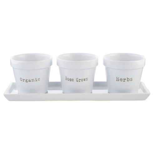 Image of Tesco Word Herb Pots