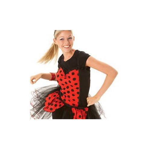 Rubies Fancy Dress Costume - La...