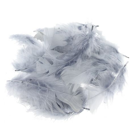 Image of Feather Petals - Grey