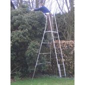 Henchman Aluminium Maxi Hi-Steps Garden Ladder