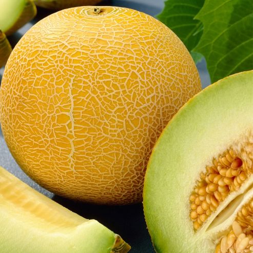 Image of Melon 'outdoor Wonder' F1 Hybrid - 1 Packet (5 Melon Seeds)