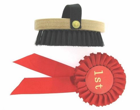 Image of Red Rosette And Brush