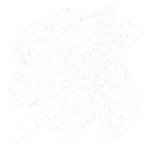 Image of Seta Opaque - White