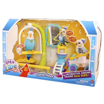 little live pets tesco