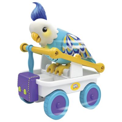 little live pets tesco