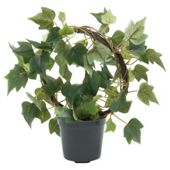 23CM NEEDLEPOINT IVY RING - GREEN